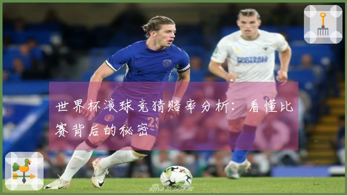 世界杯滚球竞猜赔率分析：看懂比赛背后的秘密
