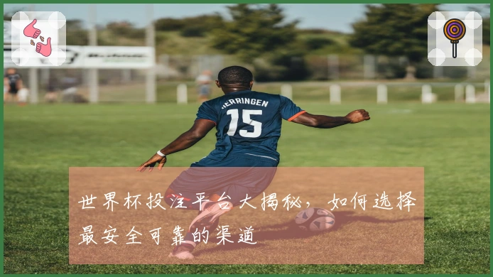 世界杯投注平台大揭秘，如何选择最安全可靠的渠道