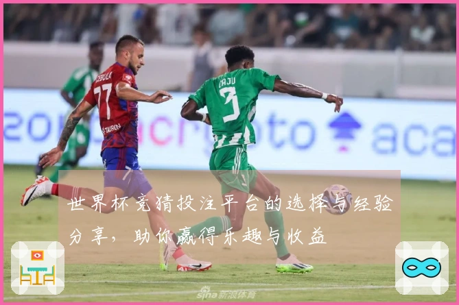 世界杯竞猜投注平台的选择与经验分享，助你赢得乐趣与收益