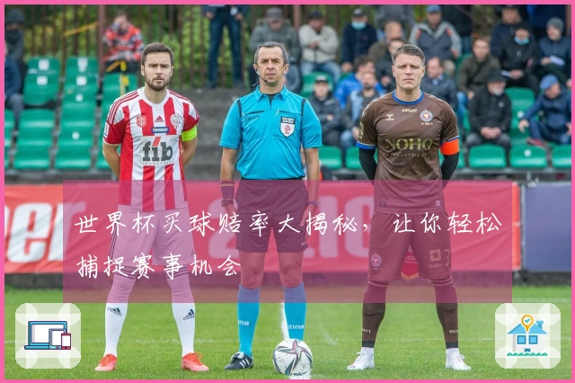 世界杯买球赔率大揭秘，让你轻松捕捉赛事机会