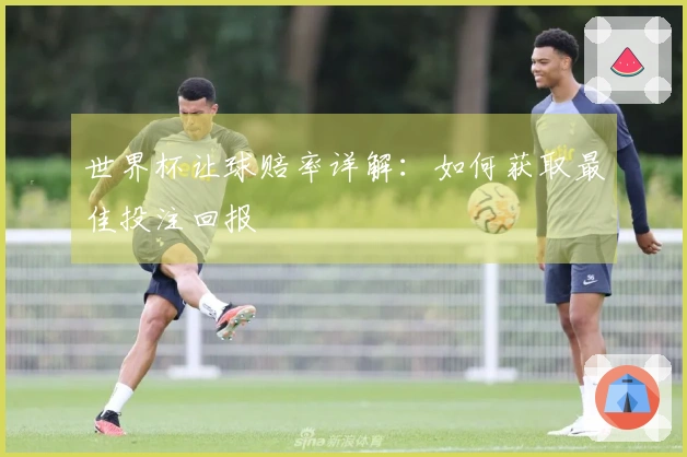 世界杯让球赔率详解：如何获取最佳投注回报