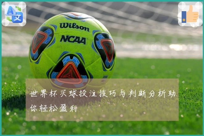 世界杯买球投注技巧与判断分析助你轻松盈利