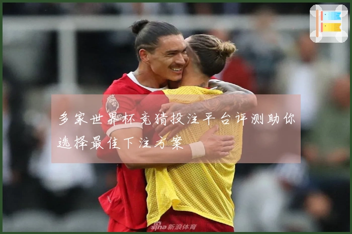 多家世界杯竞猜投注平台评测助你选择最佳下注方案