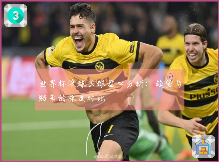世界杯滚球买球盘口分析：趋势与赔率的深度对比