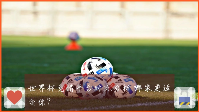 世界杯竞猜平台对比分析 哪家更适合你？