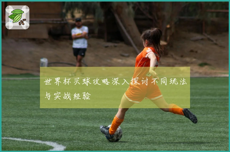 世界杯买球攻略深入探讨不同玩法与实战经验