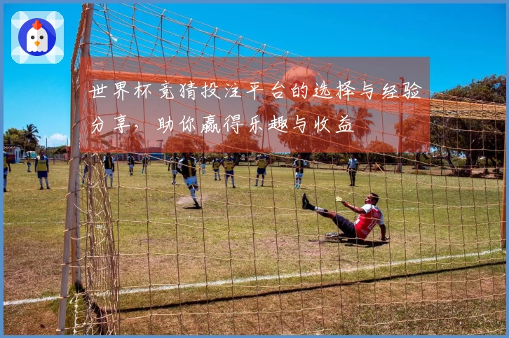 世界杯竞猜投注平台的选择与经验分享，助你赢得乐趣与收益
