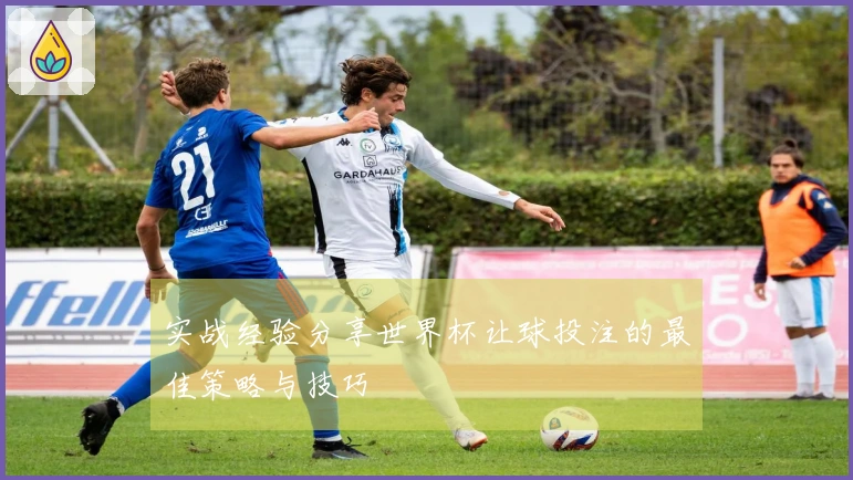 实战经验分享世界杯让球投注的最佳策略与技巧