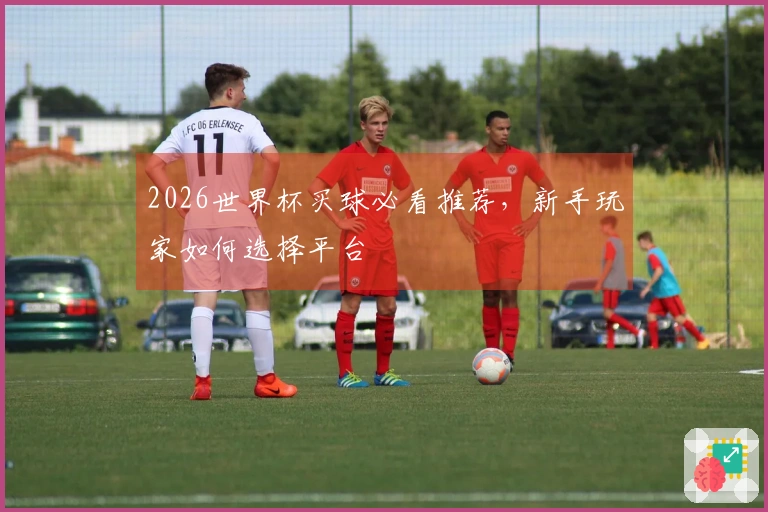 2026世界杯买球必看推荐，新手玩家如何选择平台