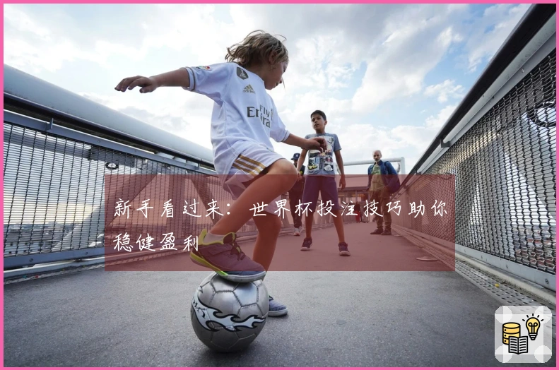 新手看过来：世界杯投注技巧助你稳健盈利