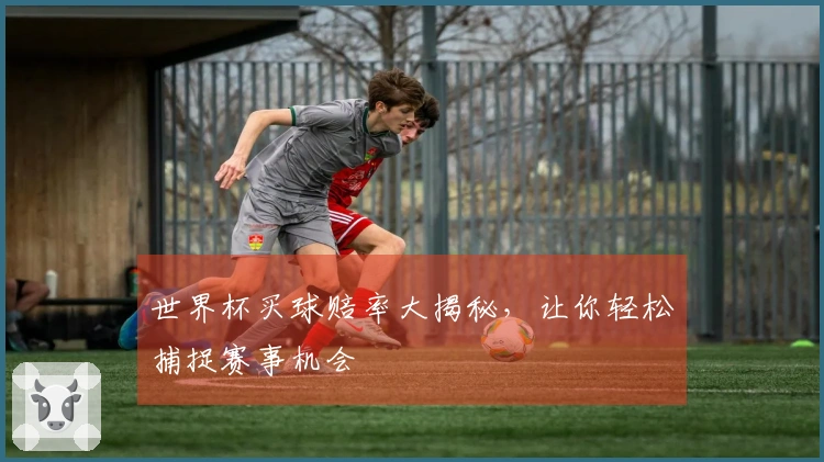 世界杯买球赔率大揭秘，让你轻松捕捉赛事机会