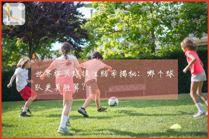 世界杯买球投注赔率揭秘：哪个球队更具胜算？