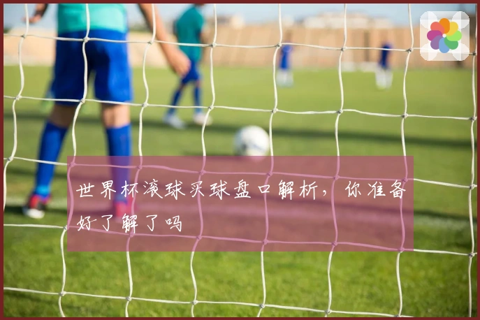 世界杯滚球买球盘口解析，你准备好了解了吗