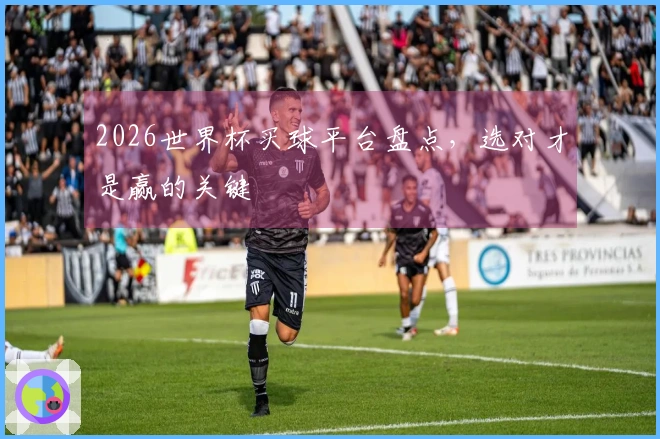 2026世界杯买球平台盘点，选对才是赢的关键