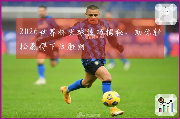 2026世界杯买球技巧揭秘，助你轻松赢得下注胜利